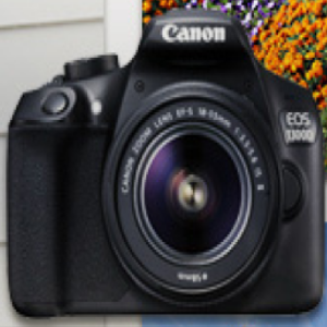 佳能（Canon） EOS 1300D KIT  EF-S 18-55mm f/3.5-5.6 IS II